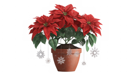 Poinsettia with snowflakes brings holiday cheer, created AI, PNG