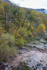 panoramic view and autumn walks along the canyon of the mountain river located in the gorge of the mountain range
