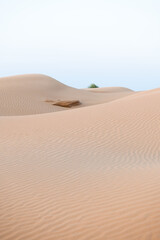 Sand dunes in the desert at sunset. Ripples on the yellow sand.