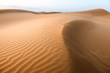 Sand dunes in the desert at sunset. Ripples on the yellow sand.