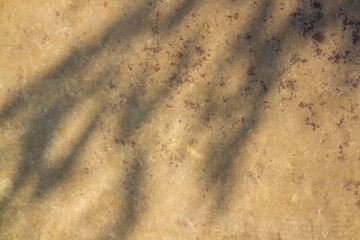 natural light and shadow drop on beige wall. abstract textured and background