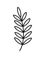 Minimalistic botanical line art of a branch with oval leaves