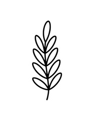 Minimalistic botanical line art of a branch with oval leaves