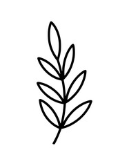 Minimalistic botanical line art of a branch with oval leaves