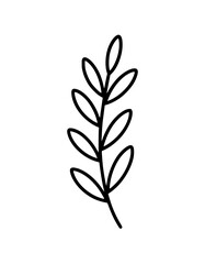 Minimalistic botanical line art of a branch with oval leaves