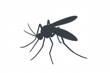 Mosquito silhouette on transparent background representing disease, pest, and vector concepts