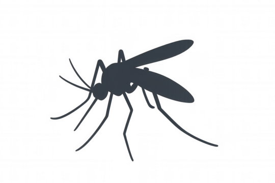 Mosquito silhouette on transparent background representing disease, pest, and vector concepts