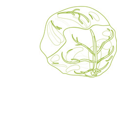 Hand Drawn Line Art Illustration Of A Single Brussels Sprout With Green Outline On A Transparent Background
