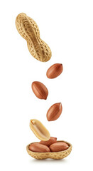 Falling peanuts with shell on white background.
