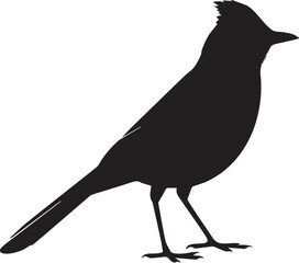 Obraz premium Black bird silhouette perched vector illustration flat design