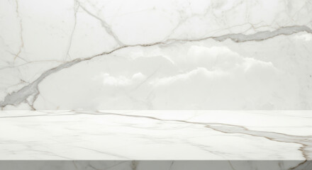 Elegant white marble surface and background.