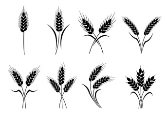 Wheat ears silhouettes set isolated on white background vector illustration