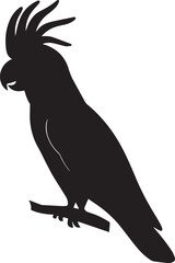 Black cockatoo bird silhouette eating vector illustration