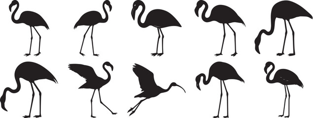 Obraz premium A group of Flamingo bird silhouette vector, black and white silhouette vector illustration