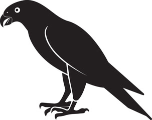 Obraz premium Hawk bird silhouette vector, black and white silhouette vector illustration