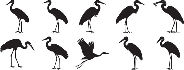 A group of Heron bird silhouette vector, black and white silhouette vector illustration