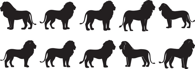 Fototapeta premium A group of Lion animal silhouette vector, black and white silhouette vector illustration
