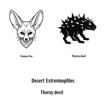 An educational illustration featuring the unique Fennec Fox and the spiky Thorny Devil, showcasing desert extremophiles in a clean, graphic style.