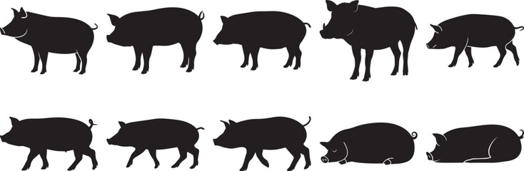 A group of  Pig silhouette vector, black and white silhouette vector illustration