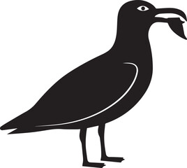 Seagull bird silhouette vector, black and white silhouette vector illustration