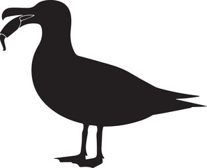 Seagull bird silhouette vector, black and white silhouette vector illustration