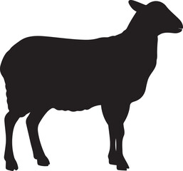Sheep silhouette vector, black and white silhouette vector illustration