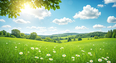 Fototapeta premium Idyllic Meadow Scene with Blooming Daisies, Green Hills and a Bright Sunny Sky beckons a serene and peaceful outdoor experience.