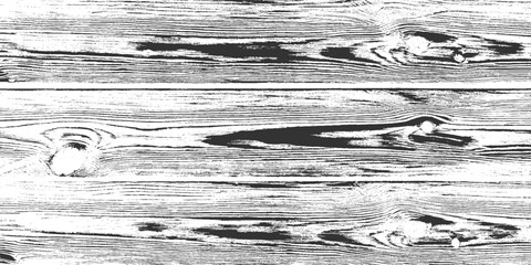 close-up view of rough black and white wood grain texture with horizontal lines and knot. White natural wood wall texture and background. Detailed macro view of felled tree trunk or stump