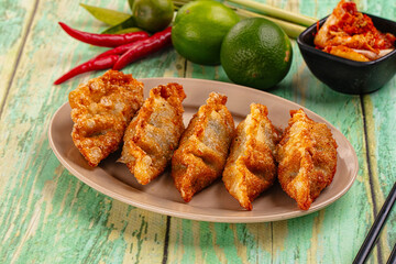 Asian fried stuffed dumplings gyoza