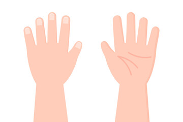 Hand palm front back set. Human body concept. Flat vector design isolated illustration. 
