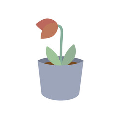 Dying dead tulip flower in pot. Nature, plant, growth, blossom, care concepts. Flat decorative vector design isolated illustration.