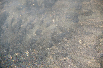 background of frost and ice crystals