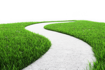 Winding white path through lush green grass with black background walkway road