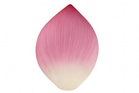 Pink lotus petal isolated, showing delicate natural texture and gradients, on transparent background for design assets - Powered by Adobe