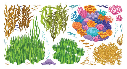 Marine Ecosystem Depiction with Seaweed, Grass, and Coral Reef Elements in Vibrant Colors Displaying Underwater Scene