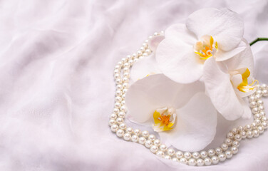 The branch of white orchids on white fabric background
