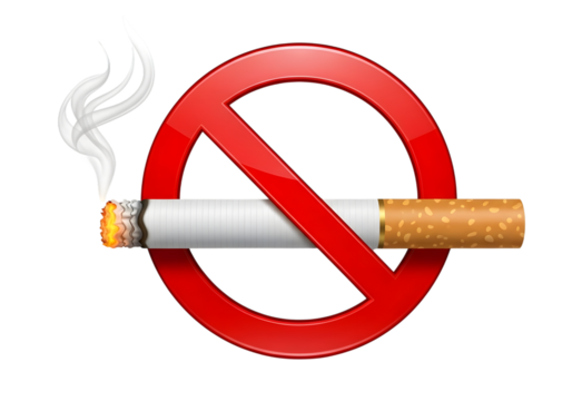 No smoking sign with cigarette isolated on transparent background, vector illustration