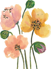 Gentle Watercolor Poppies in Bloom