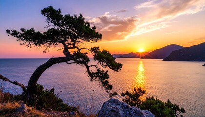 A vibrant sunset over a calm sea, with a tree silhouetted against the colorful sky