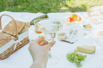 Hand raising wineglass above summer picnic setup for concepts of cheers, outdoor relaxation and lifestyle