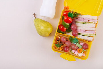 Healthy School Lunchbox with Sandwich and Snacks