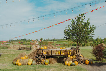 Harvest pumpkin display on rustic wooden cart surrounded by hay bales with outdoor lights