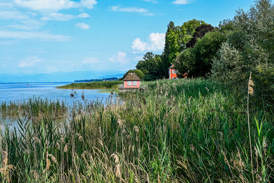 G&uuml;ttingen, Bodensee, See, Seeufer, Uferweg, Ufer, Wasserv&ouml;gel, Schilf, Naturschutz, Wassersport, Seerundfahrt, Sommer, Ostschweiz, Thurgau, Schweiz