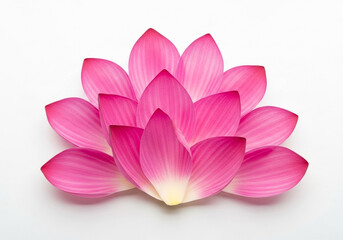 Pink lotus petals arranged in a layered rosette on white marble, delicate floral composition for beauty branding, spa cards, wedding decor and mindfulness visuals