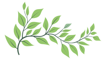 Fresh green leafy branch illustration isolated on white background for natural botanical decoration and eco friendly design projects