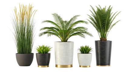 Fototapeta premium Indoor Plant Arrangement in Decorative Pots for Home Decor and Interior Design Accents