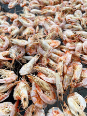 close up of dry shrimp on the market