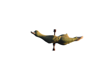 Rubber duck dog hunting toy PNG