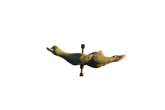 Rubber duck dog hunting toy PNG