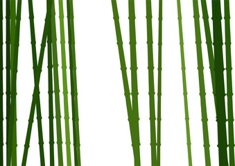 Obraz premium Green bamboo stalk on white background. Nature background. Tropical plant for decor design and Asian theme. Environmental concept.